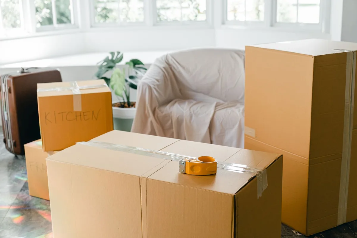 Hoarding Cleanup in Lordship, CT